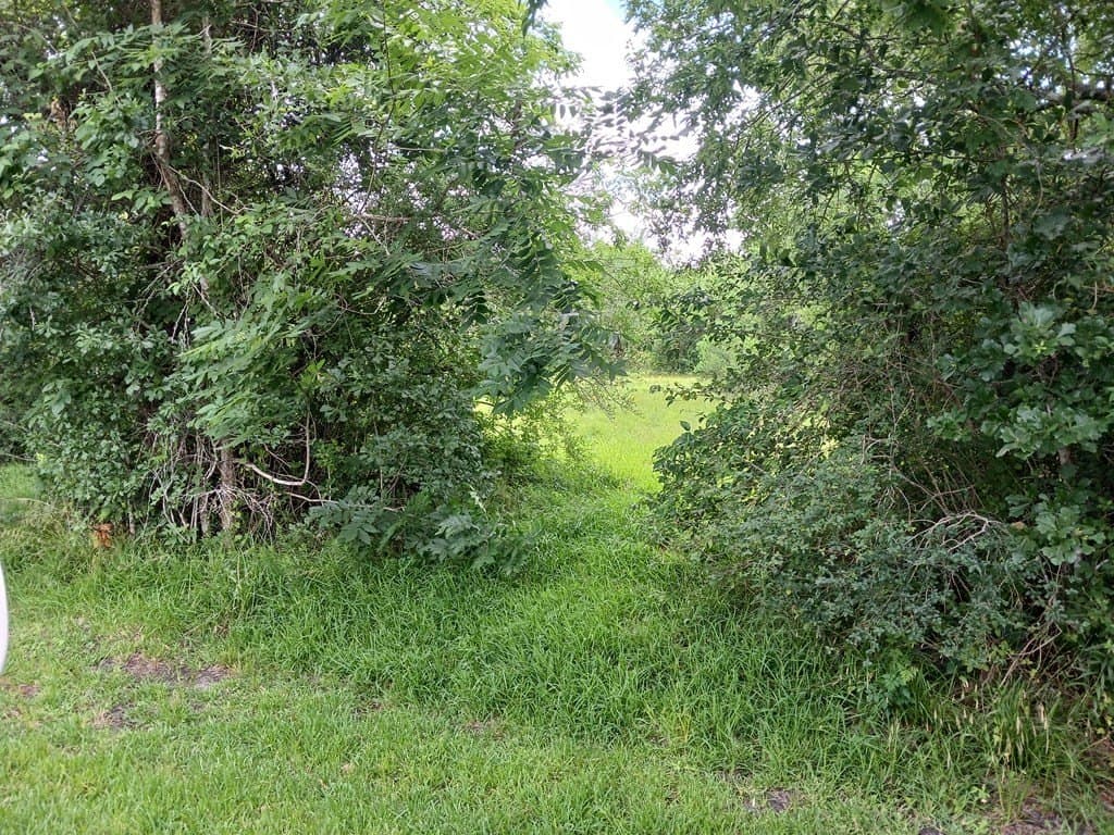 5.17 acres in Angleton County - photo 6