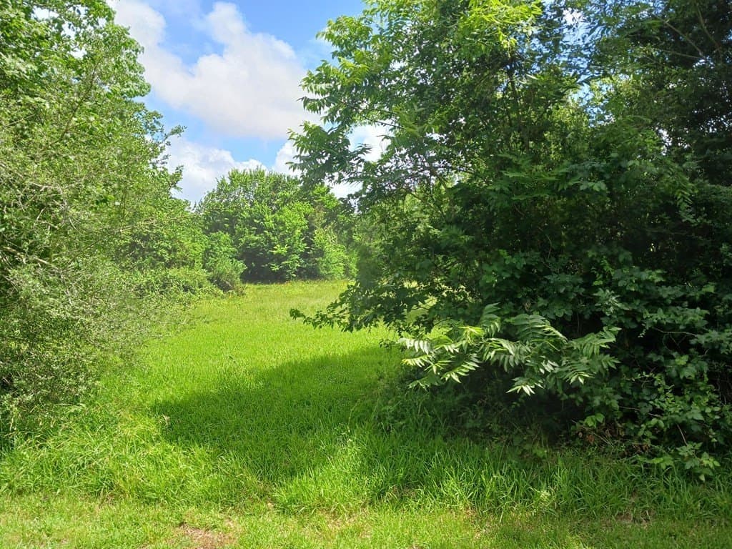 5.17 acres in Angleton County - photo 3