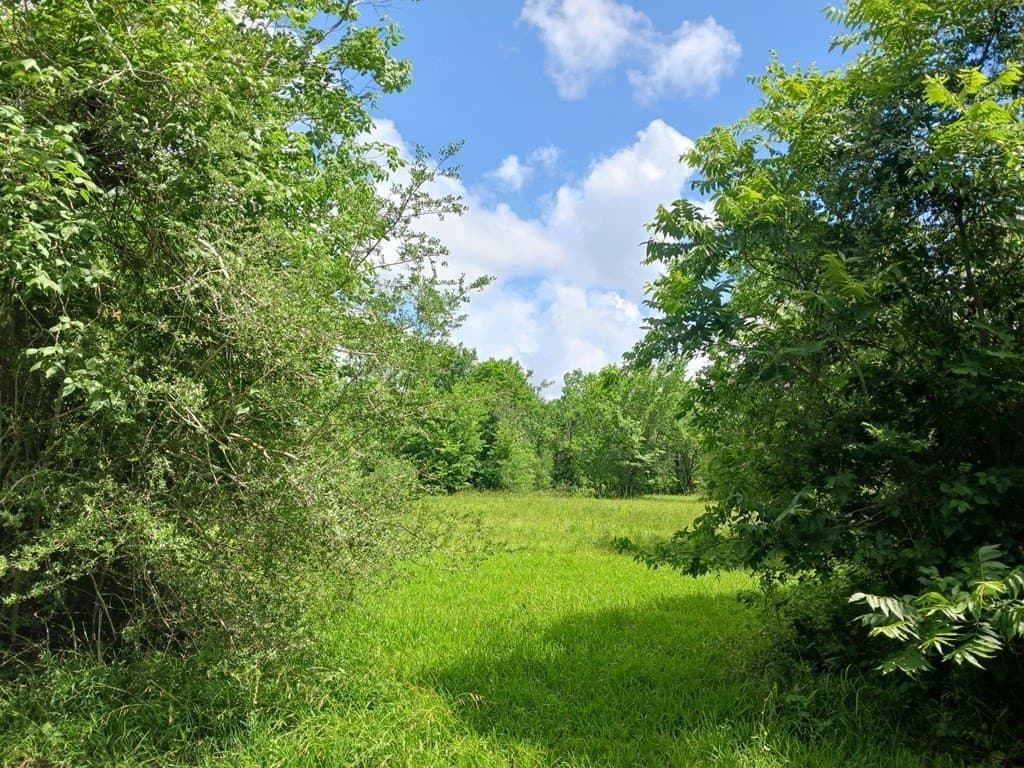 5.17 acres in Angleton County - photo 2