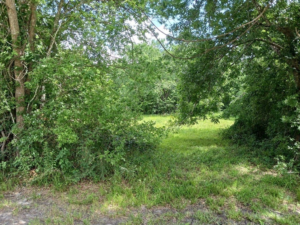 5.17 acres in Angleton County - photo 5