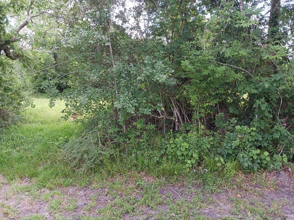 5.17 acres in Angleton County - photo 7