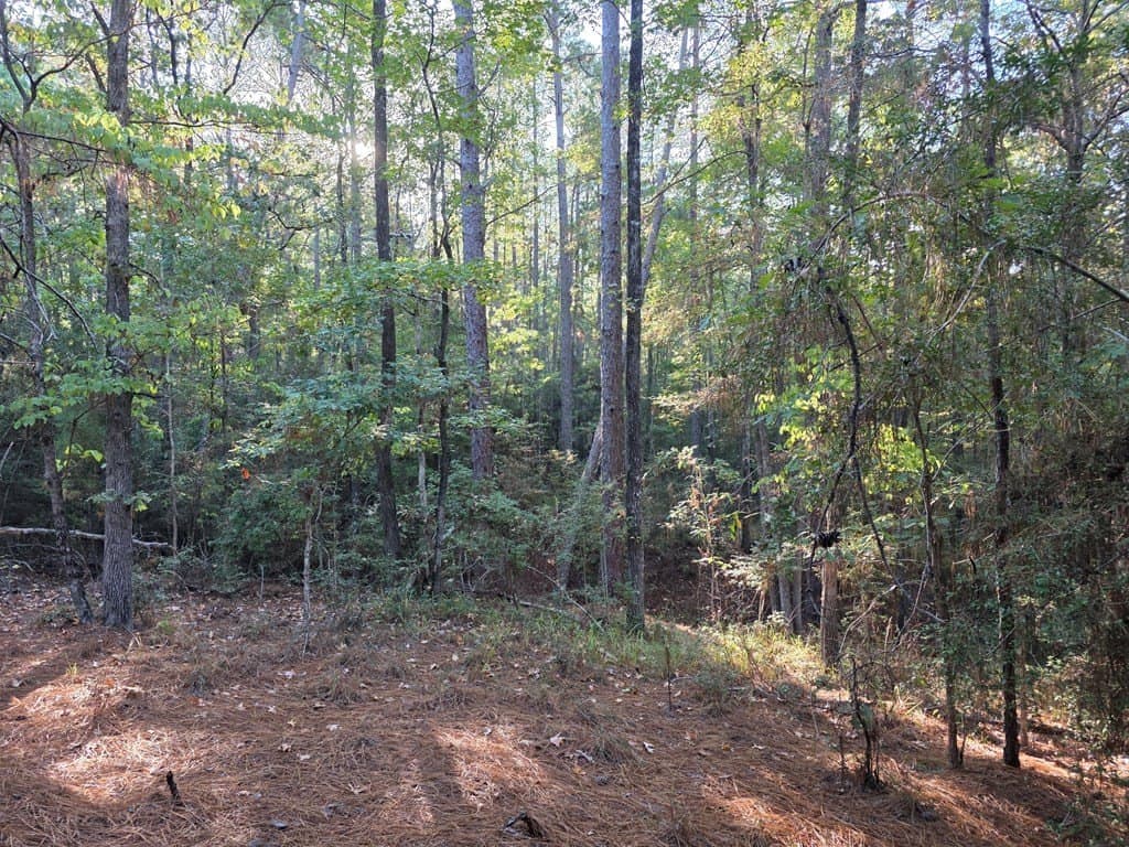 0.2 acres in Texas County gallery image 3