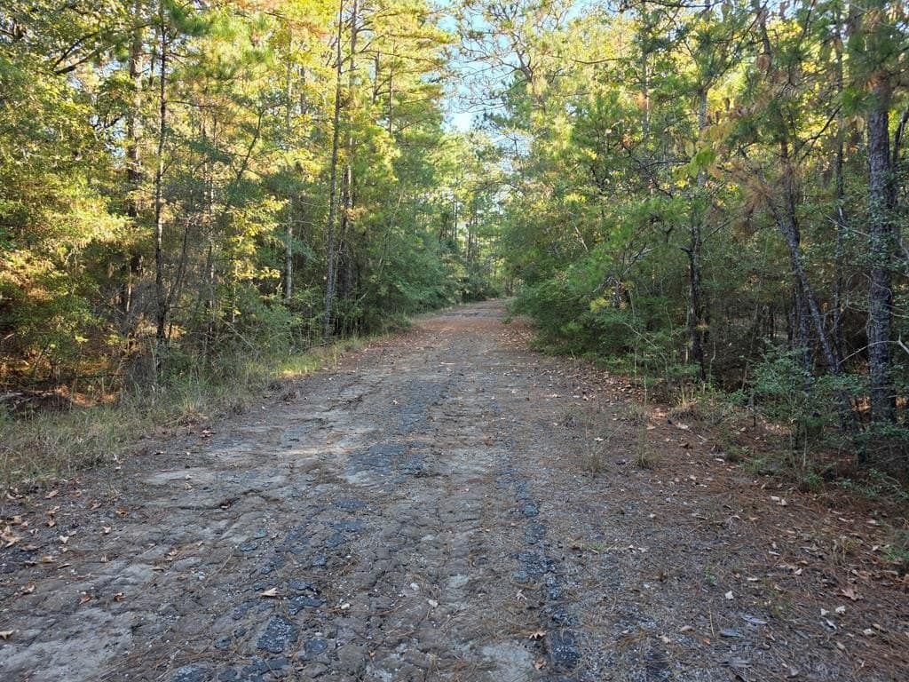 0.2 acres in Texas County gallery image 2