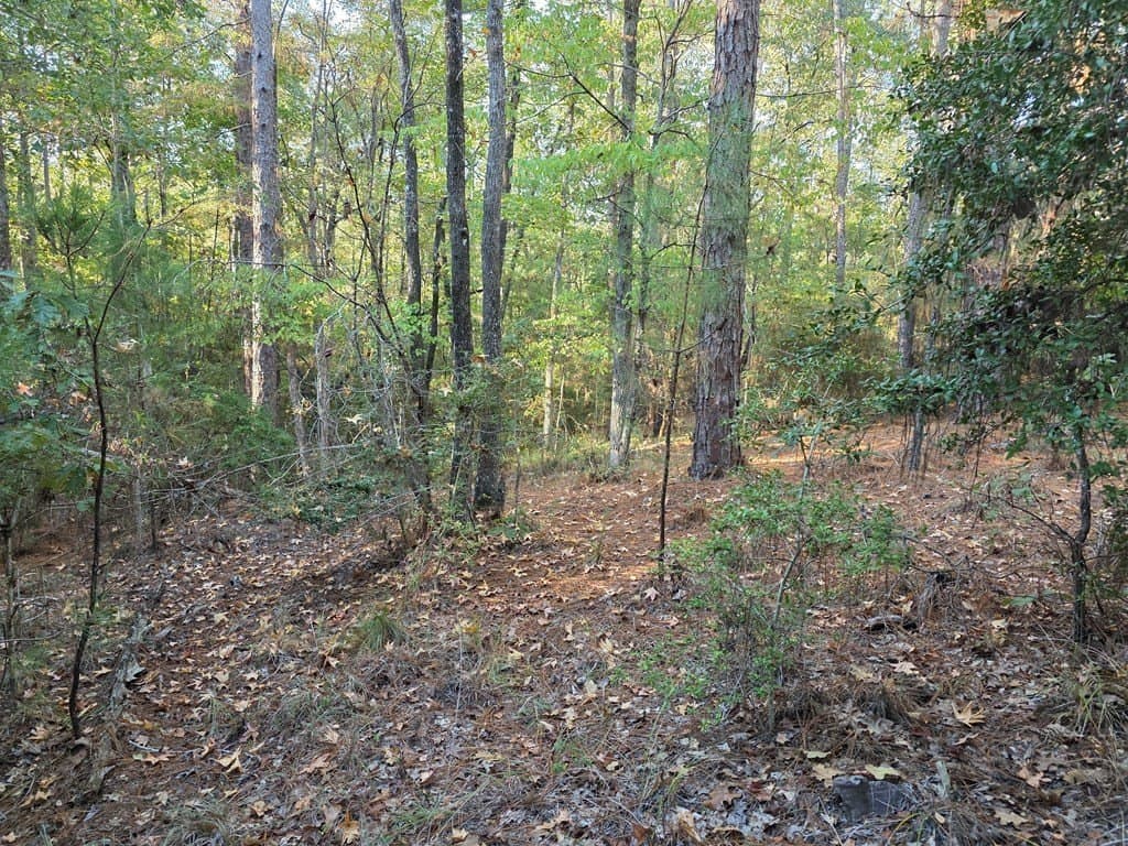 0.2 acres in Texas County featured view