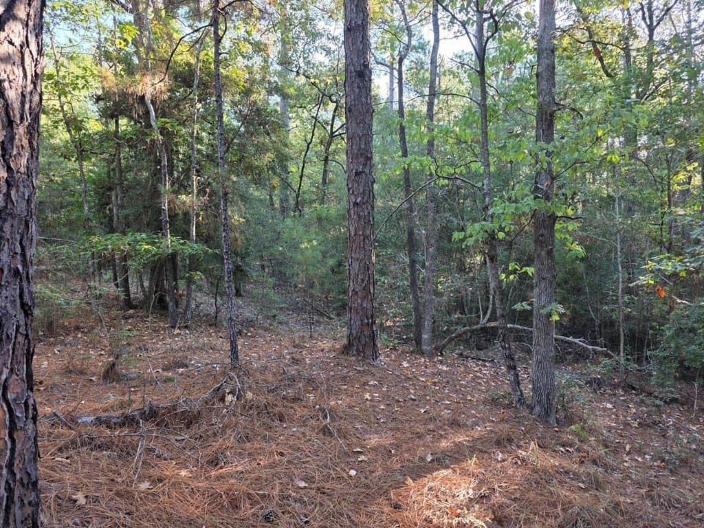 0.2 acres in Texas County gallery image 4