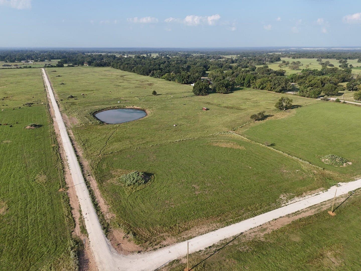 8.73 acres in Limestone County featured view