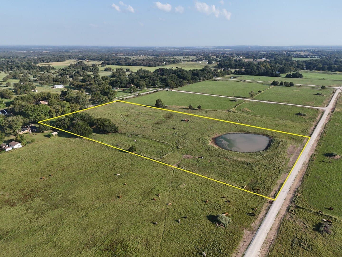 8.73 acres in Limestone County gallery image 3