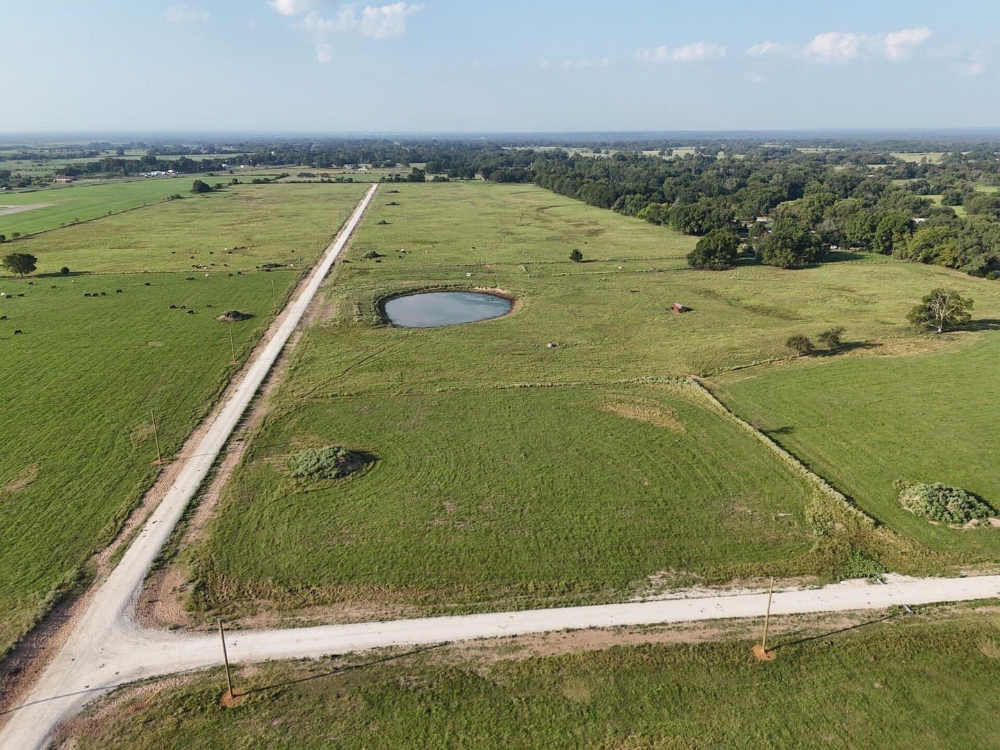 8.73 acres in Limestone County - photo 6