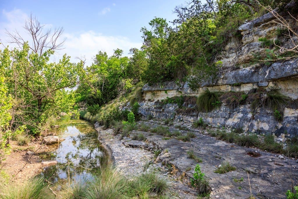 100.87 acres in Kerr County gallery image 3