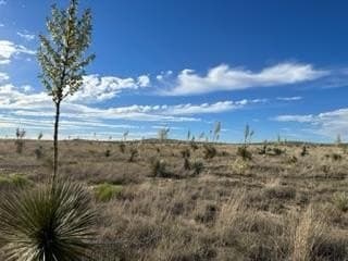 119 acres in Presidio County featured view