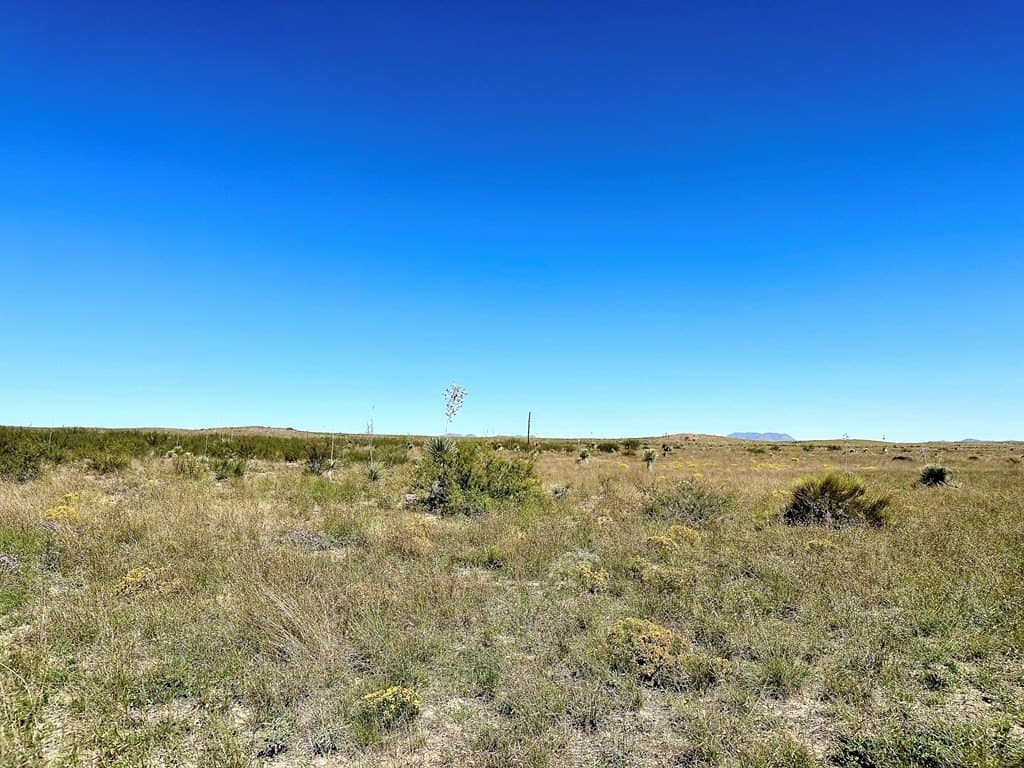 119 acres in Presidio County gallery image 4