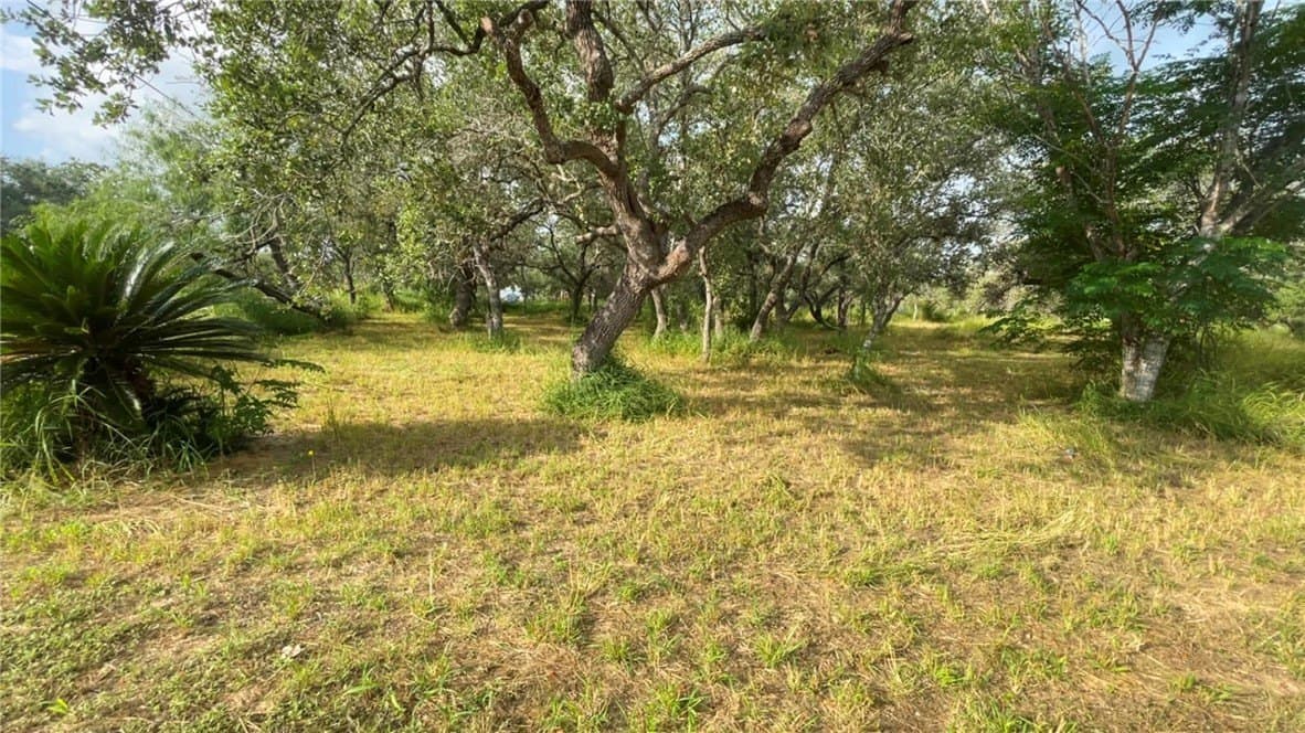 1.25 acres in Bee County - photo 2