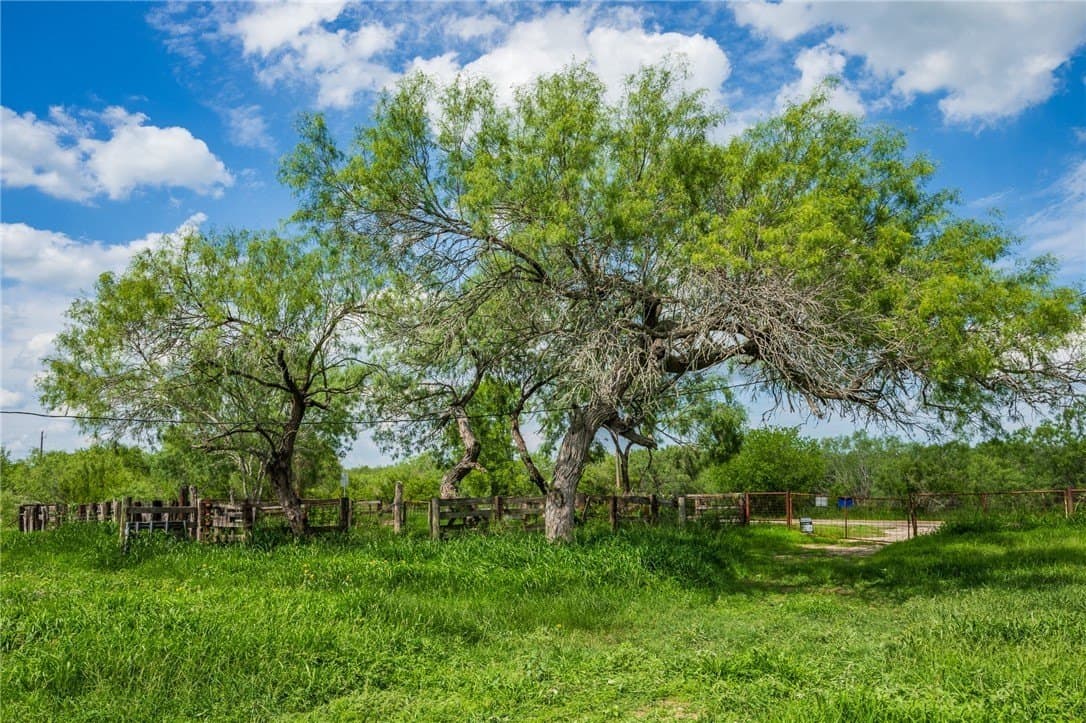75 acres in Brooks County - photo 18