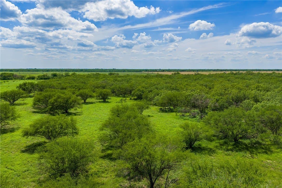 75 acres in Brooks County - photo 13