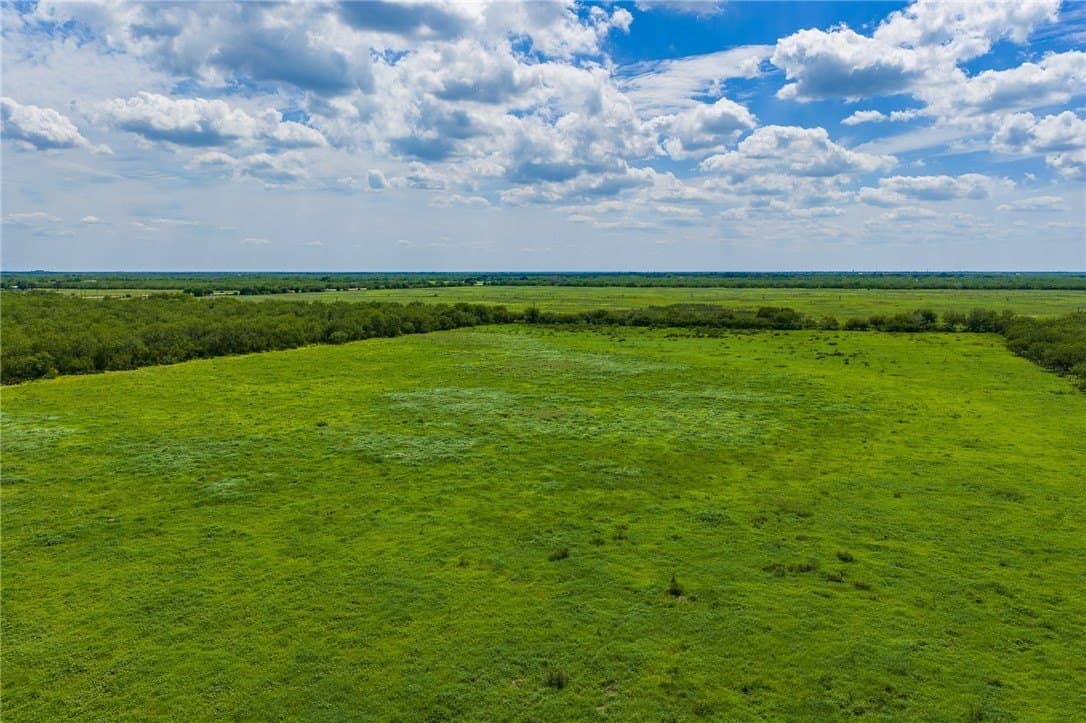 75 acres in Brooks County - photo 6