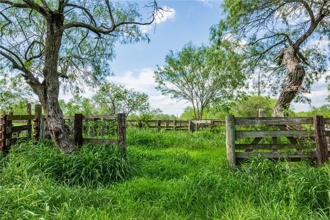 75 acres in Brooks County - photo 15