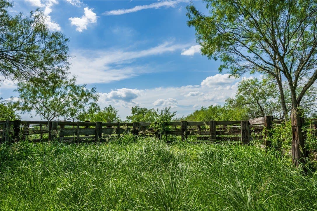 75 acres in Brooks County - photo 20