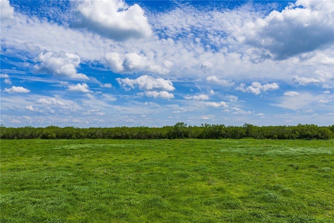 75 acres in Brooks County - photo 9