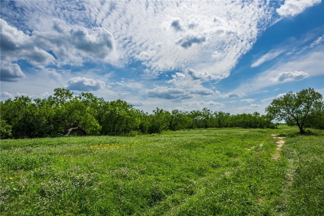 75 acres in Brooks County - photo 22