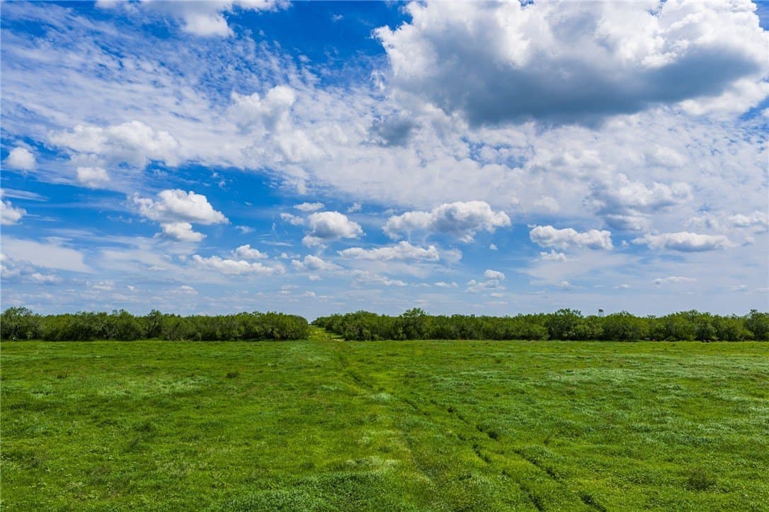 75 acres in Brooks County gallery image 4