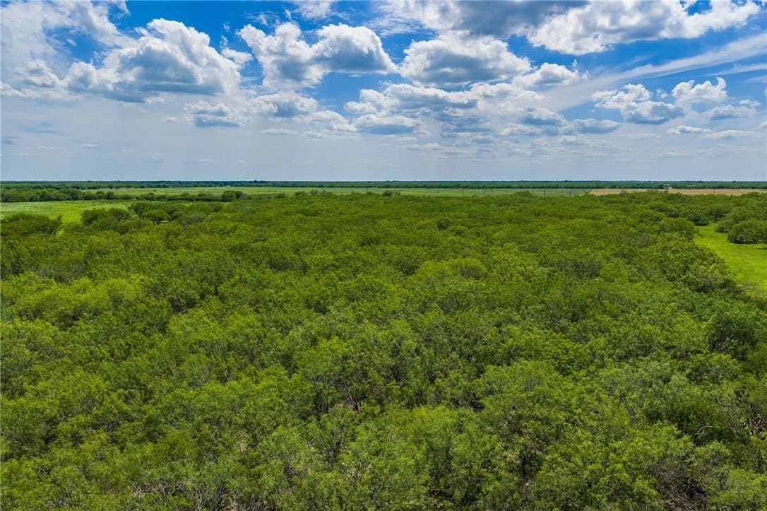 75 acres in Brooks County - photo 12