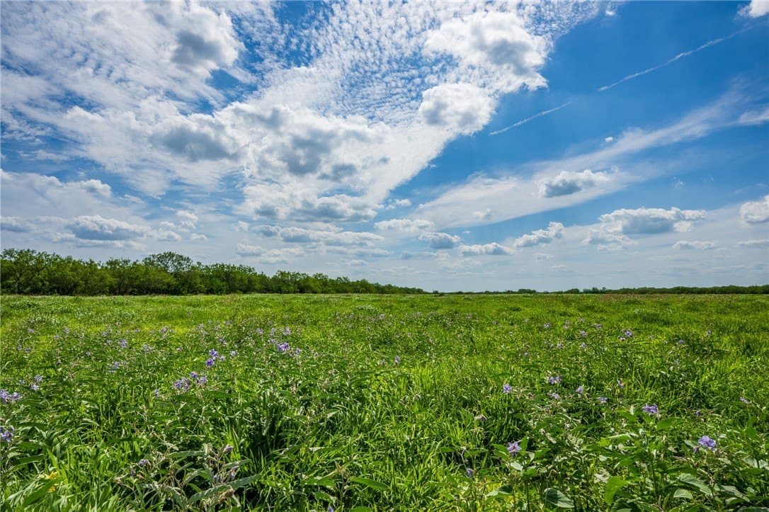 75 acres in Brooks County - photo 14