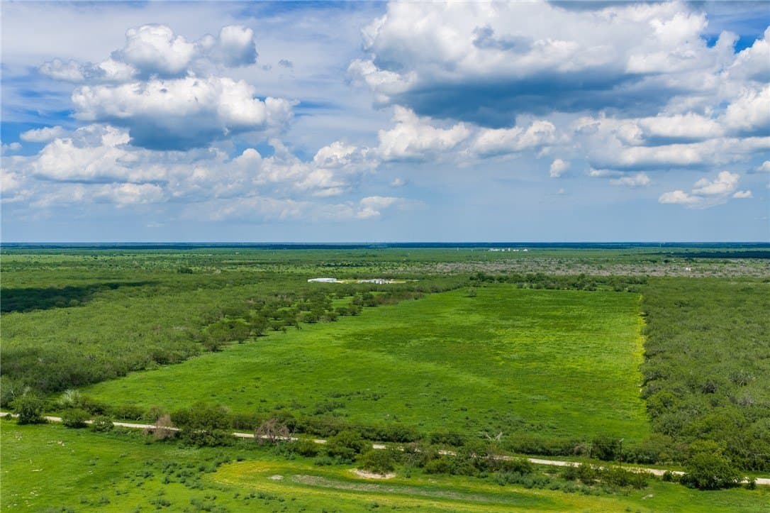 75 acres in Brooks County - photo 7