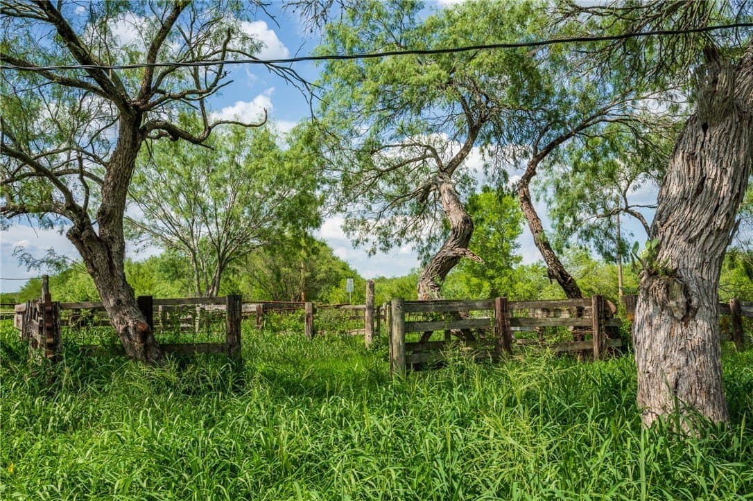 75 acres in Brooks County gallery image 3