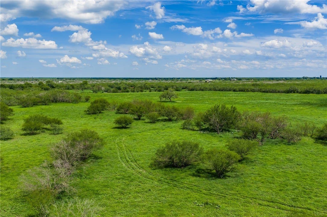 75 acres in Brooks County - photo 8