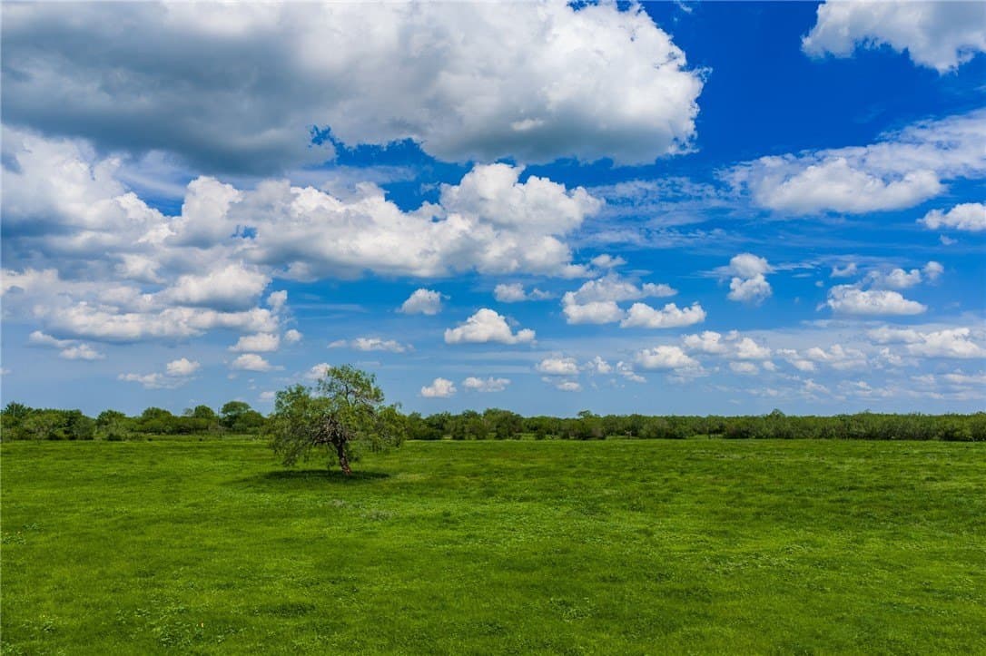 75 acres in Brooks County featured view