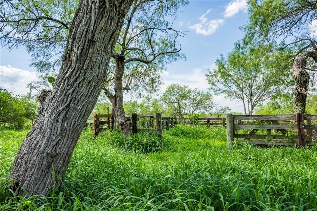 75 acres in Brooks County gallery image 2