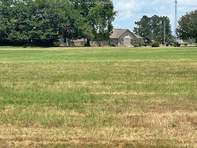 0.51 acres in Leon County gallery image 4