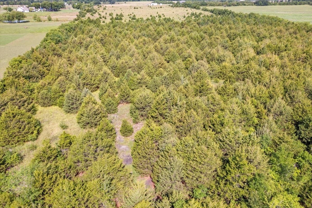 22.94 acres in Hunt County - photo 22