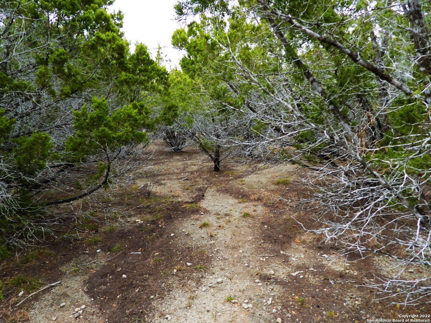0.56 acres in Bandera County