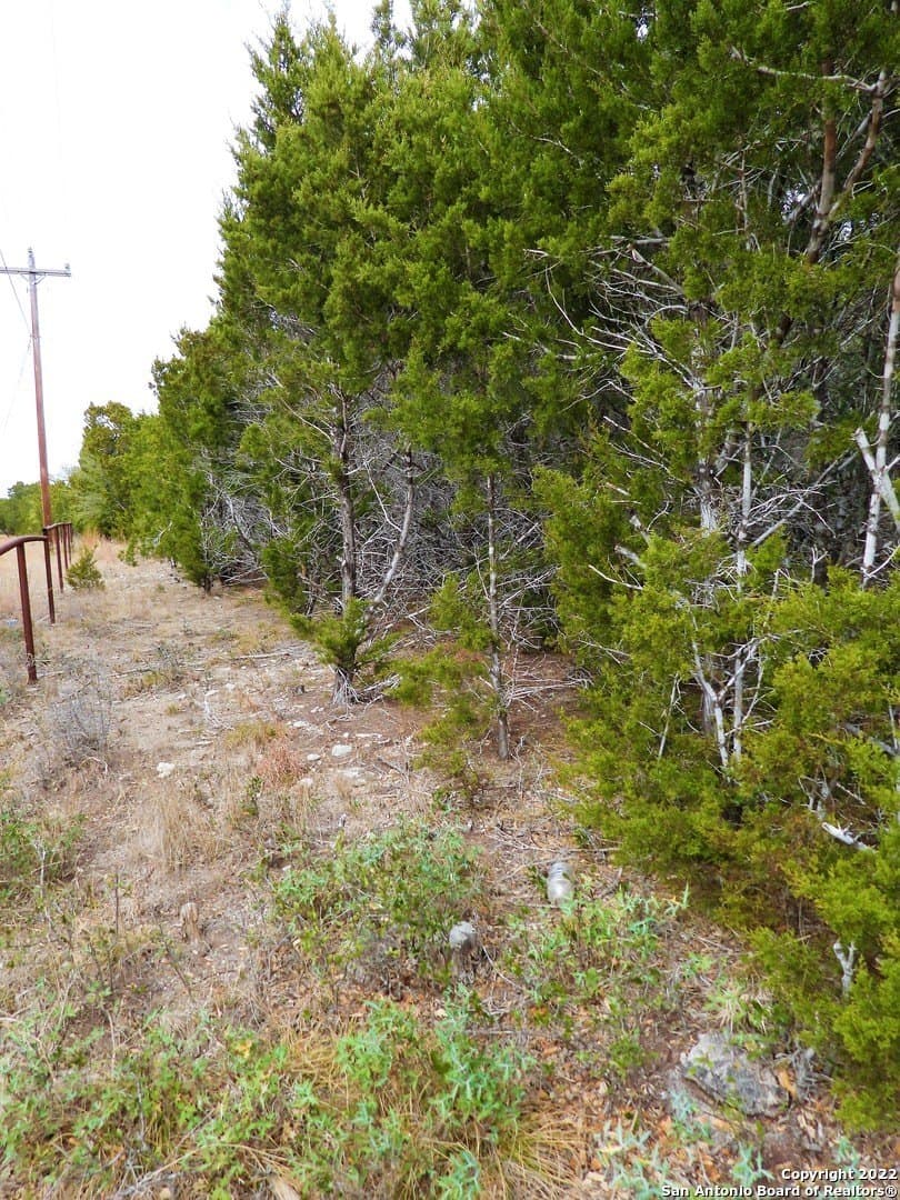 0.56 acres in Bandera County - photo 6