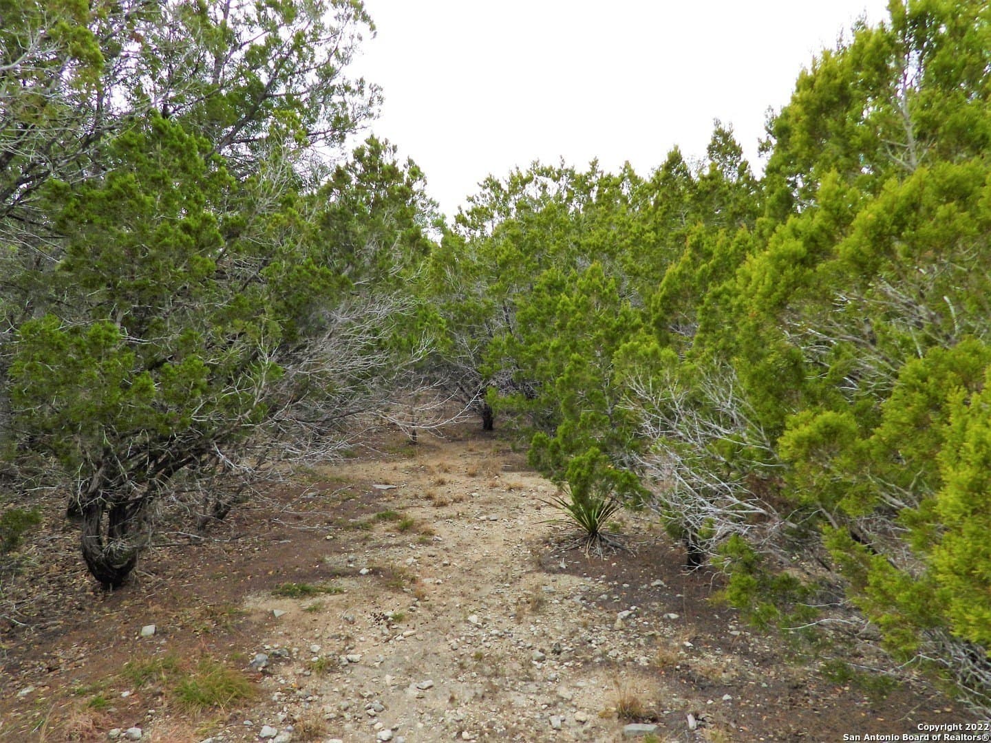 0.56 acres in Bandera County gallery image 4
