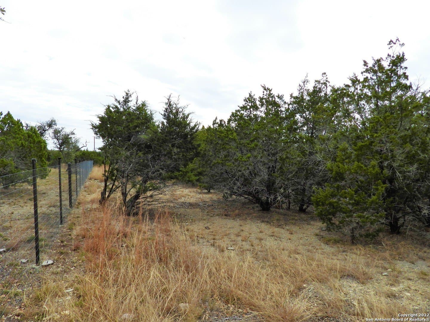 0.56 acres in Bandera County gallery image 2