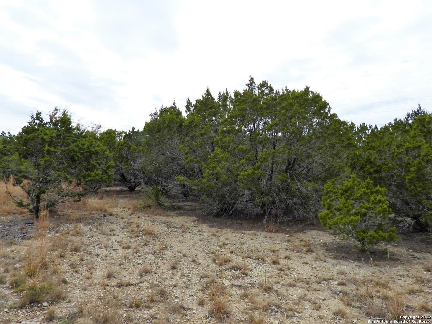 0.56 acres in Bandera County gallery image 3