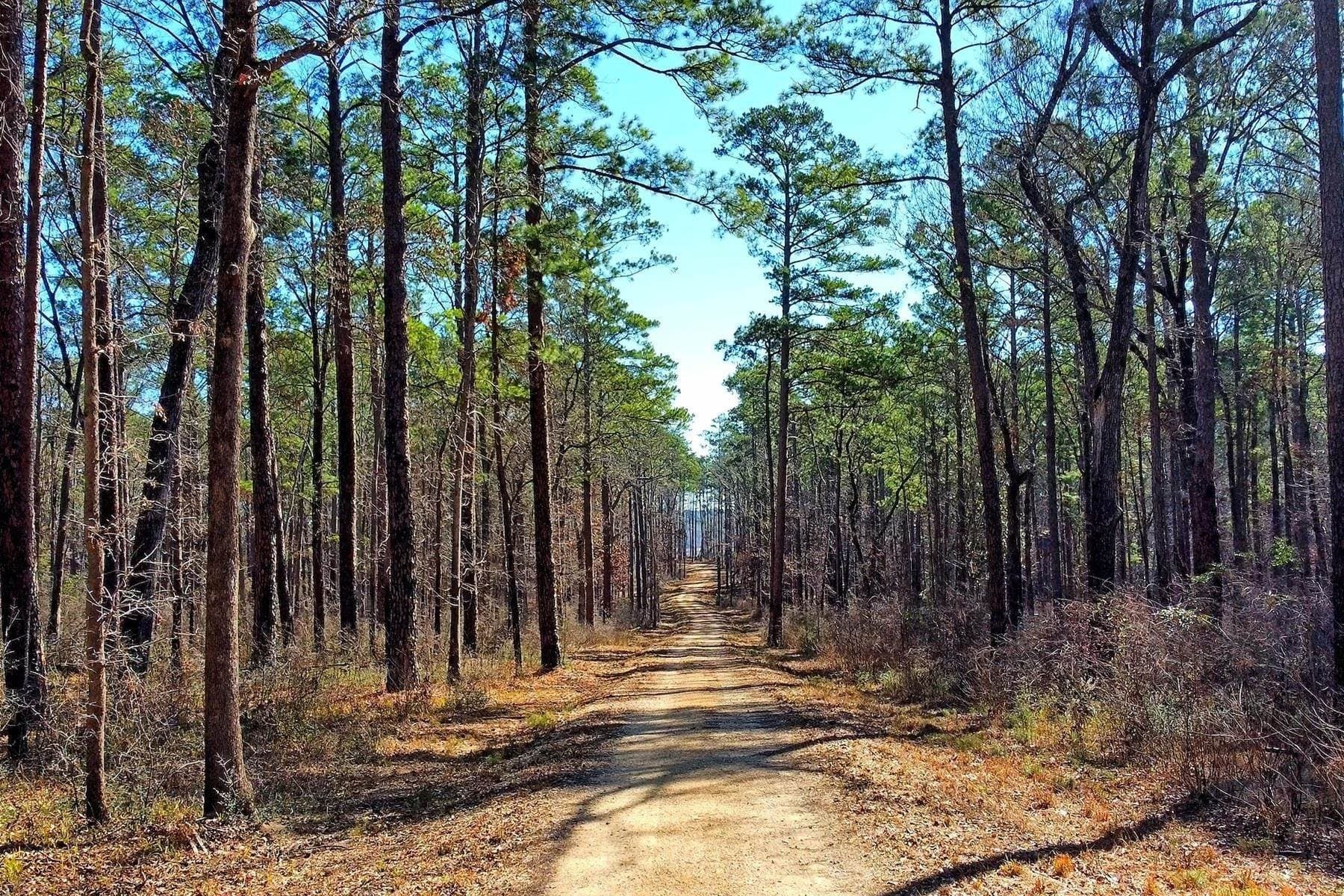 1 acres in Texas County - photo 8