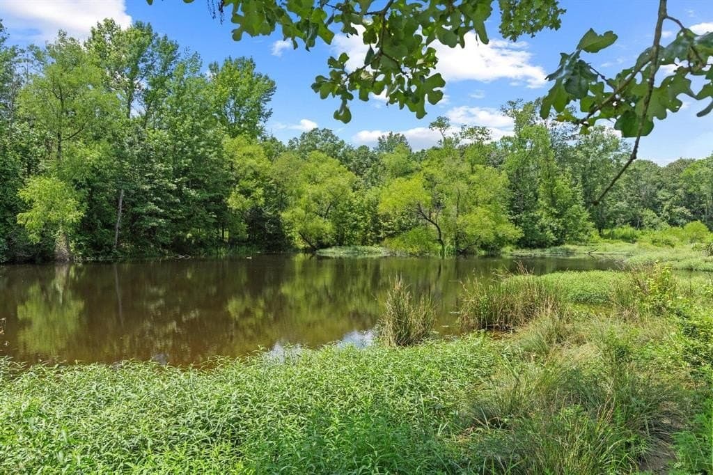 142.72 acres in Red River (TX) County featured view