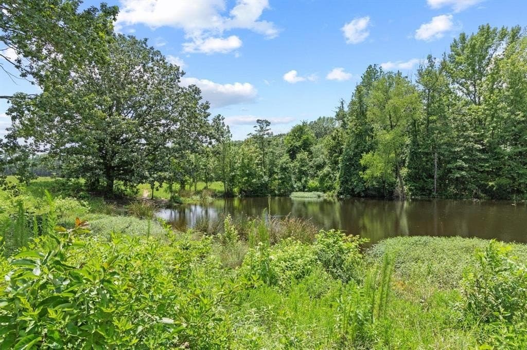 142.72 acres in Red River (TX) County gallery image 3