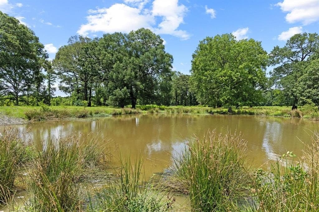 142.72 acres in Red River (TX) County gallery image 4