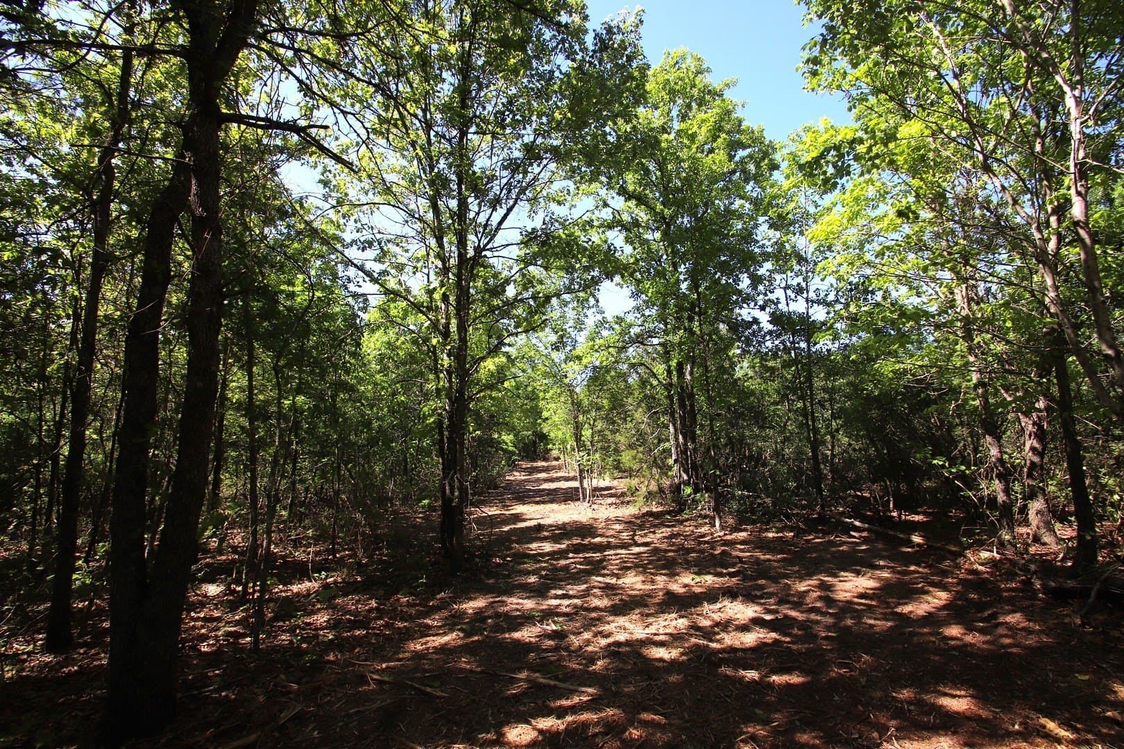 59.08 acres in Wood County - photo 17