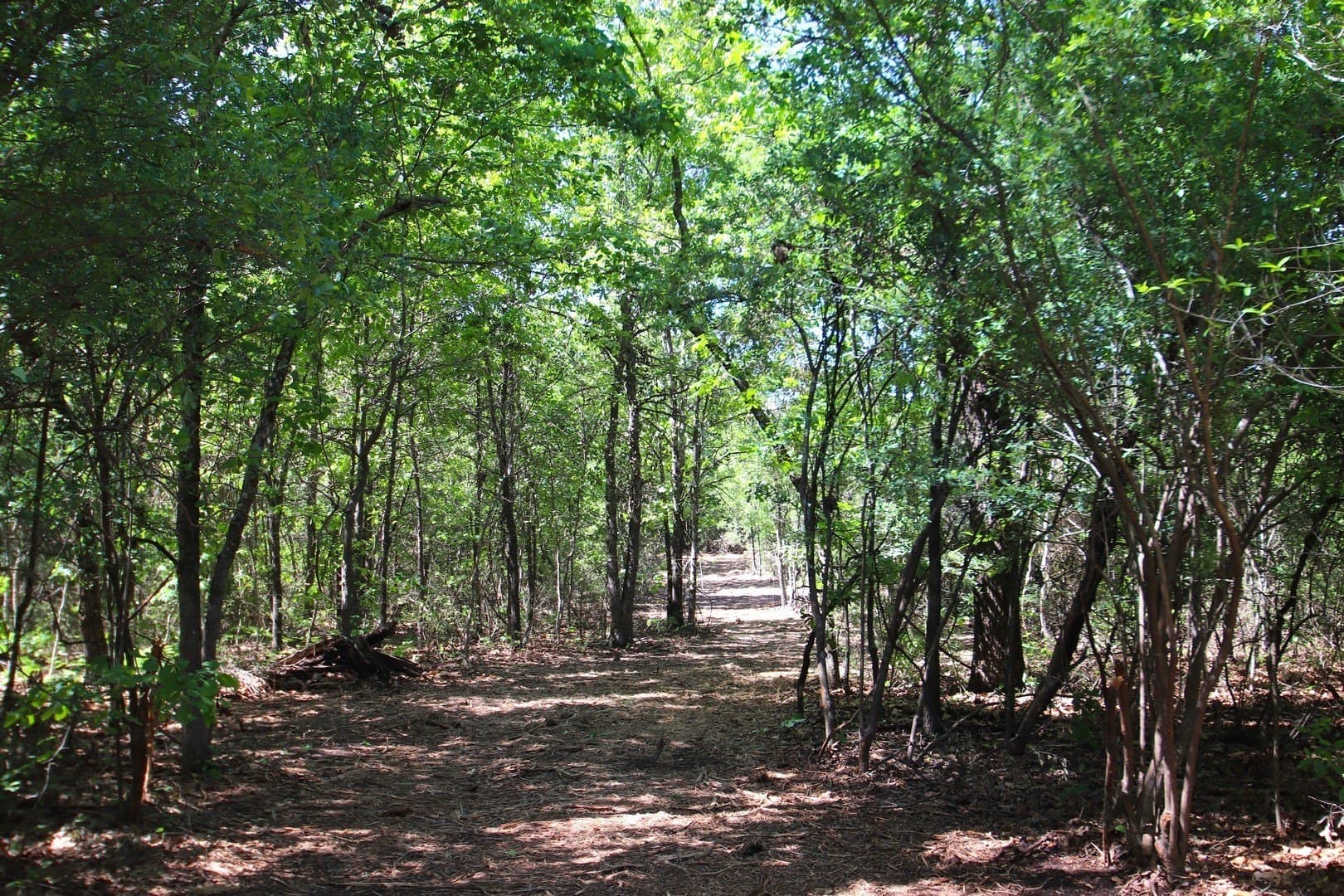 59.08 acres in Wood County - photo 16
