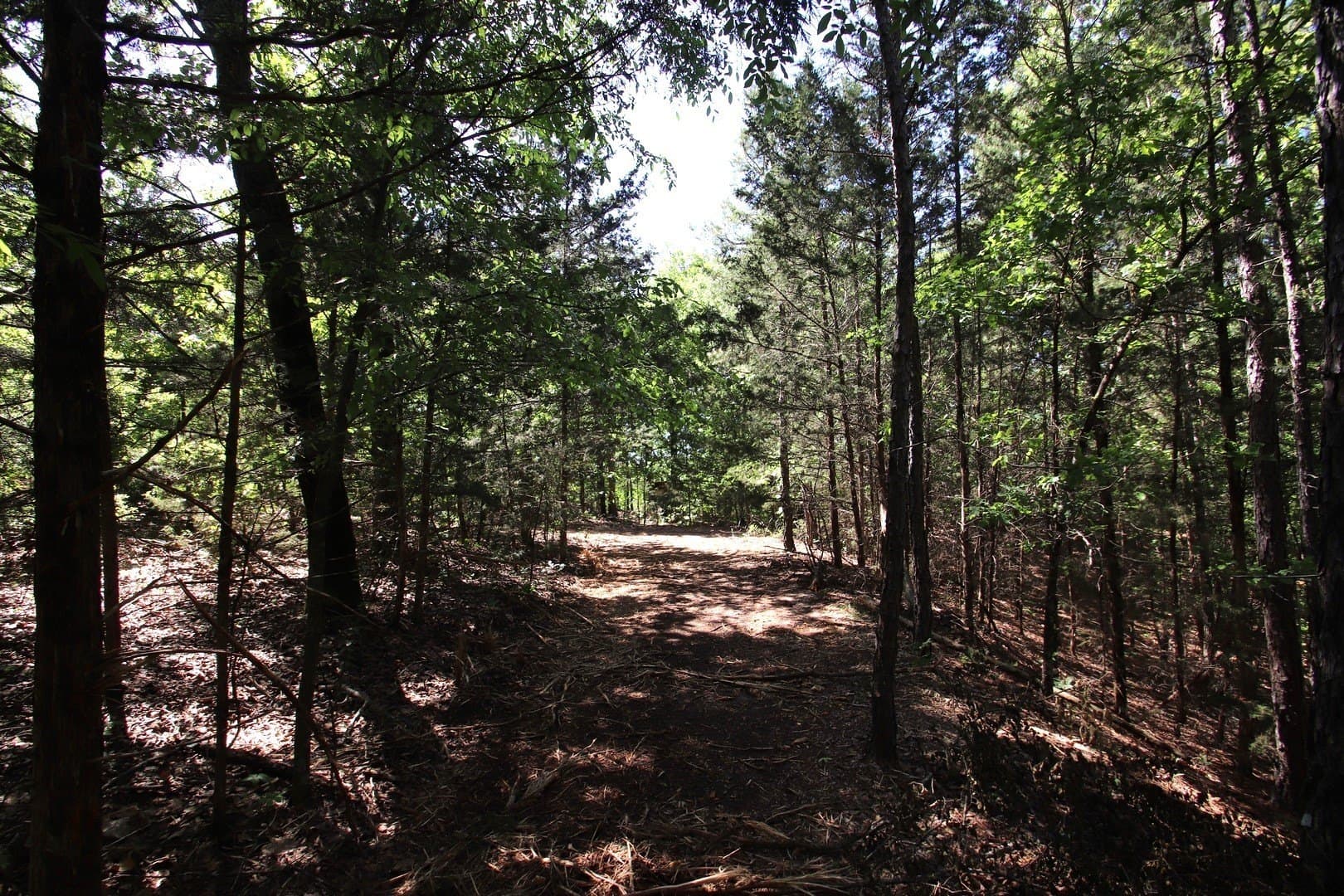 59.08 acres in Wood County - photo 28