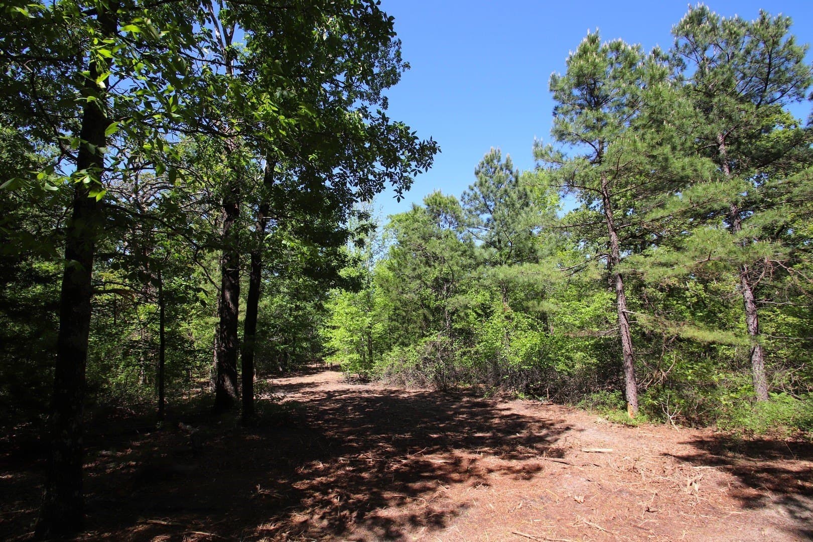 59.08 acres in Wood County - photo 10