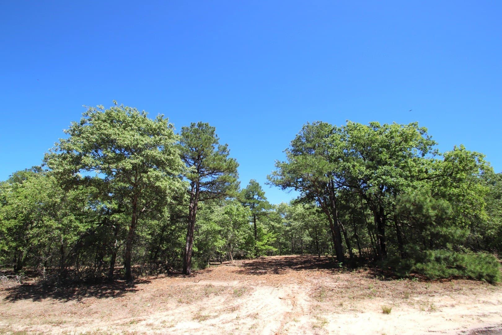 59.08 acres in Wood County gallery image 2