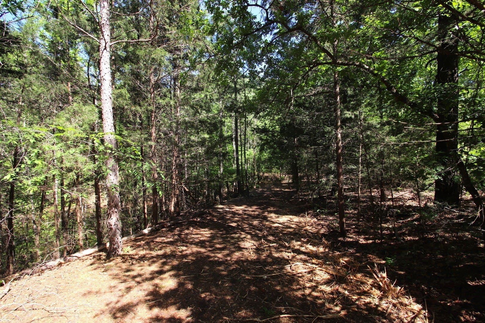59.08 acres in Wood County - photo 23