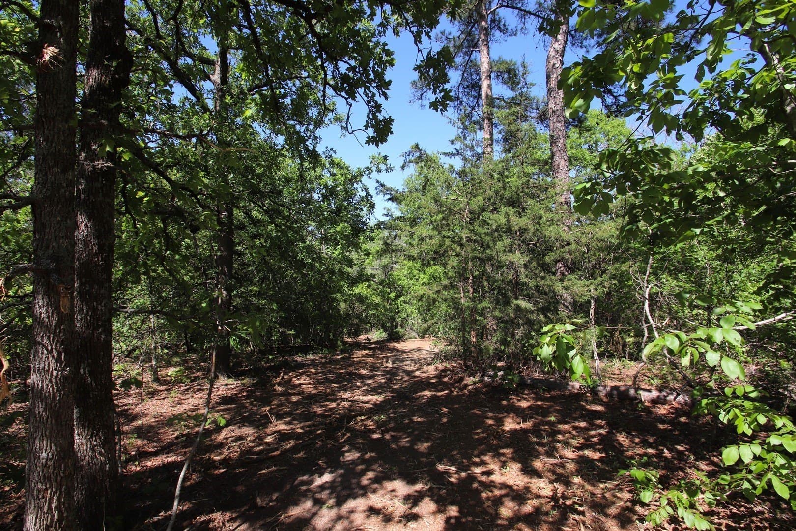59.08 acres in Wood County - photo 24