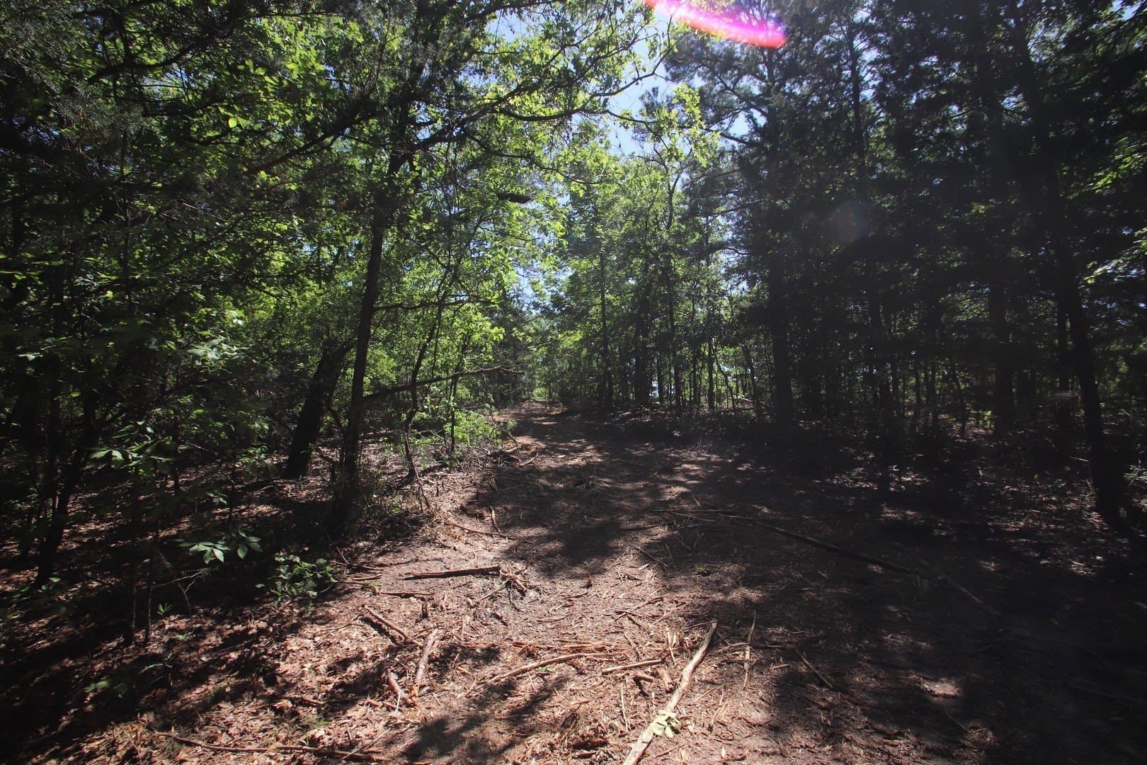 59.08 acres in Wood County - photo 26